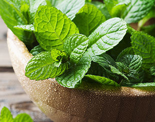 Herb/Tea/Mint