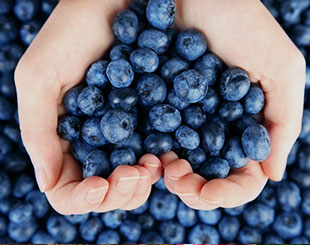 Fruits