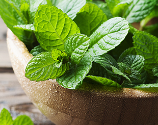Herb/Tea